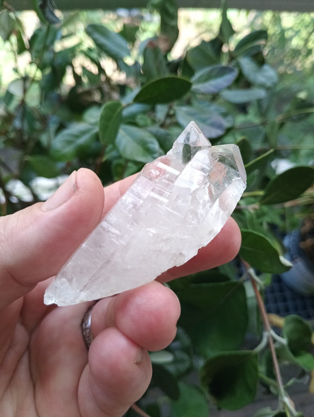 NEW Natural Clear Quartz Crystal Point Cluster